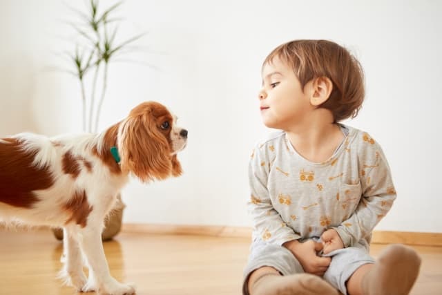 【初めてのペット】子どもがペットを飼い始めるのに最適な年齢とは？